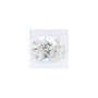 0.77 ct Oval Lab-Grown Diamond – E VS2 – Faceted Cut – GCAL Certified — Sapphire Row