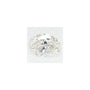 0.70 ct Oval Lab-Grown Diamond – G VS1 – Faceted Cut – GCAL Certified — Sapphire Row