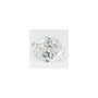 2.62 ct Oval Lab-Grown Diamond – E VS1 – Faceted Cut – GCAL Certified — Sapphire Row