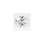 2.03 ct Oval Lab-Grown Diamond – E VS2 – Faceted Cut – GCAL Certified — Sapphire Row