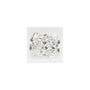 3.85 ct Radiant Lab-Grown Diamond – F VVS2 – Faceted Cut – GCAL Certified — Sapphire Row