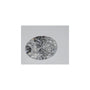 0.55 ct Oval Lab-Grown Diamond – D VS1 – Faceted Cut – IGI Certified — Sapphire Row