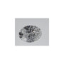0.55 ct Oval Lab-Grown Diamond – D VVS2 – Faceted Cut – IGI Certified — Sapphire Row