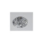 0.55 ct Oval Lab-Grown Diamond – D VVS2 – Faceted Cut – IGI Certified — Sapphire Row
