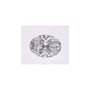 0.53 ct Oval Lab-Grown Diamond – D VS1 – Faceted Cut – IGI Certified — Sapphire Row