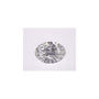 1.07 ct Oval Lab-Grown Diamond – D VVS1 – Faceted Cut – IGI Certified — Sapphire Row