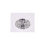 1.07 ct Oval Lab-Grown Diamond – E VVS1 – Faceted Cut – IGI Certified — Sapphire Row