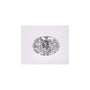 1.03 ct Oval Lab-Grown Diamond – D VVS2 – Faceted Cut – IGI Certified — Sapphire Row