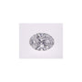 1.04 ct Oval Lab-Grown Diamond – D VVS1 – Faceted Cut – IGI Certified — Sapphire Row