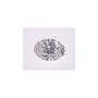 1.05 ct Oval Lab-Grown Diamond – D VVS1 – Faceted Cut – IGI Certified — Sapphire Row