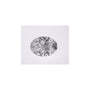 1.28 ct Oval Lab-Grown Diamond – D VVS1 – Faceted Cut – IGI Certified — Sapphire Row
