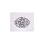 2.56 ct Oval Lab-Grown Diamond – D VS1 – Faceted Cut – IGI Certified — Sapphire Row