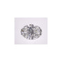 2.57 ct Oval Lab-Grown Diamond – E VVS2 – Faceted Cut – IGI Certified — Sapphire Row