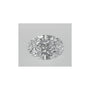 0.70 ct Oval Natural Diamond – D VS1 – Faceted Cut – GIA Certified — Sapphire Row