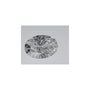 1.00 ct Oval Natural Diamond – E VVS1 – Faceted Cut – GIA Certified — Sapphire Row