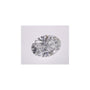 2.57 ct Oval Lab-Grown Diamond – D VS1 – Faceted Cut – IGI Certified — Sapphire Row