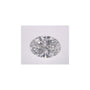 2.58 ct Oval Lab-Grown Diamond – E VVS1 – Faceted Cut – IGI Certified — Sapphire Row