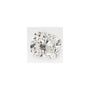 2.04 ct Elongated Cushion Lab-Grown Diamond – F VVS2 – Faceted Cut – GCAL Certified — Sapphire Row
