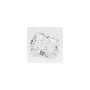 2.01 ct Radiant Lab-Grown Diamond – E VVS2 – Faceted Cut – GCAL Certified — Sapphire Row