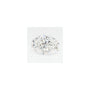 1.24 ct lab-grown diamond, oval cut | Sapphire Row