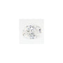 1.29 ct Oval Lab-Grown Diamond – E VVS2 – Faceted Cut – GCAL Certified — Sapphire Row