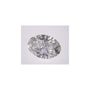 4.09 ct Oval Lab-Grown Diamond – F SI1 – Faceted Cut – IGI Certified — Sapphire Row