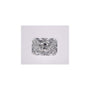 1.47 ct Radiant Lab-Grown Diamond – E VVS2 – Faceted Cut – IGI Certified — Sapphire Row