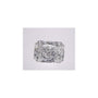 2.76 ct Radiant Lab-Grown Diamond – E VS1 – Faceted Cut – IGI Certified — Sapphire Row