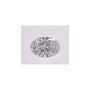1.02 ct Oval Lab-Grown Diamond – D VS1 – Faceted Cut – IGI Certified — Sapphire Row