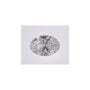 1.01 ct Oval Lab-Grown Diamond – D VS1 – Faceted Cut – IGI Certified — Sapphire Row