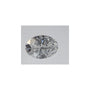 0.54 ct Oval Lab-Grown Diamond – D VS1 – Faceted Cut – IGI Certified — Sapphire Row