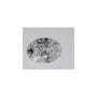 0.53 ct Oval Lab-Grown Diamond – D VS1 – Faceted Cut – IGI Certified — Sapphire Row