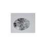 0.55 ct Oval Lab-Grown Diamond – D VVS1 – Faceted Cut – IGI Certified — Sapphire Row