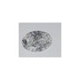 0.58 ct Oval Lab-Grown Diamond – D VVS2 – Faceted Cut – IGI Certified — Sapphire Row
