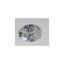 0.74 ct Oval Lab-Grown Diamond – D VVS2 – Faceted Cut – IGI Certified — Sapphire Row