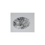 0.75 ct Oval Lab-Grown Diamond – D VVS1 – Faceted Cut – IGI Certified — Sapphire Row
