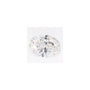 0.77 ct Oval Lab-Grown Diamond – E VS1 – Faceted Cut – GCAL Certified — Sapphire Row