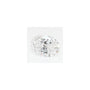 1.23 ct Oval Lab-Grown Diamond – D VS1 – Faceted Cut – GCAL Certified — Sapphire Row