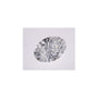 2.09 ct Oval Lab-Grown Diamond – D VVS2 – Faceted Cut – IGI Certified — Sapphire Row