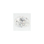2.04 ct Oval Lab-Grown Diamond – E VS1 – Faceted Cut – GCAL Certified — Sapphire Row