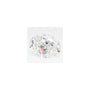 2.55 ct Oval Lab-Grown Diamond – D VS1 – Faceted Cut – GCAL Certified — Sapphire Row