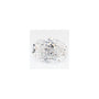 2.44 ct Oval Lab-Grown Diamond – D VS2 – Faceted Cut – GCAL Certified — Sapphire Row