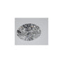 2.02 ct Oval Lab-Grown Diamond – D VS1 – Faceted Cut – IGI Certified — Sapphire Row