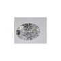 2.07 ct Oval Lab-Grown Diamond – E VVS2 – Faceted Cut – IGI Certified — Sapphire Row