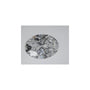 2.25 ct Oval Lab-Grown Diamond – D VVS1 – Faceted Cut – IGI Certified — Sapphire Row