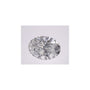 2.04 ct Oval Lab-Grown Diamond – D VVS2 – Faceted Cut – IGI Certified — Sapphire Row