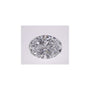 2.31 ct Oval Lab-Grown Diamond – D VVS1 – Faceted Cut – IGI Certified — Sapphire Row