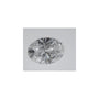 1.03 ct Oval Lab-Grown Diamond – D VVS2 – Faceted Cut – IGI Certified — Sapphire Row