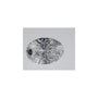 1.06 ct Oval Lab-Grown Diamond – D VVS2 – Faceted Cut – IGI Certified — Sapphire Row