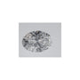 1.07 ct Oval Lab-Grown Diamond – D VVS1 – Faceted Cut – IGI Certified — Sapphire Row